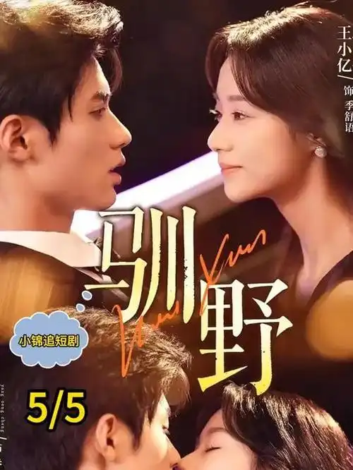 漫长的季节·续 海报